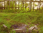 Działka przewidziana jest pod zieleń publiczną, park edukacyjny i rekreacyjny z możliwością zabudowy do 10 proc. całej powierzchni